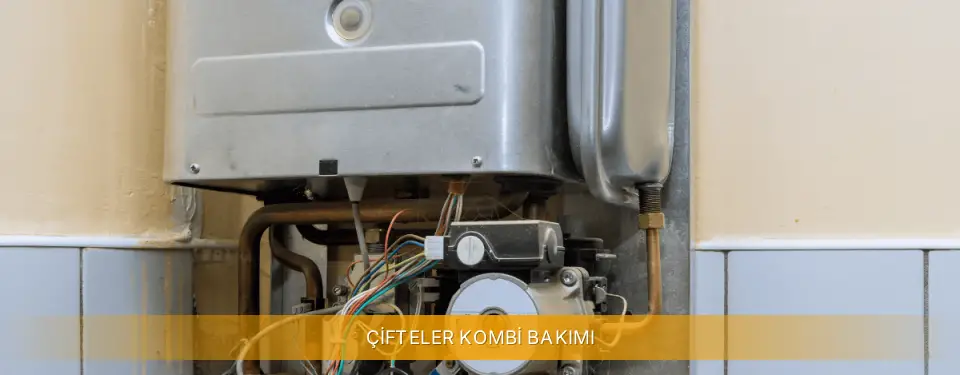 Çifteler İlçemi Viessmann Kombi Bakımı