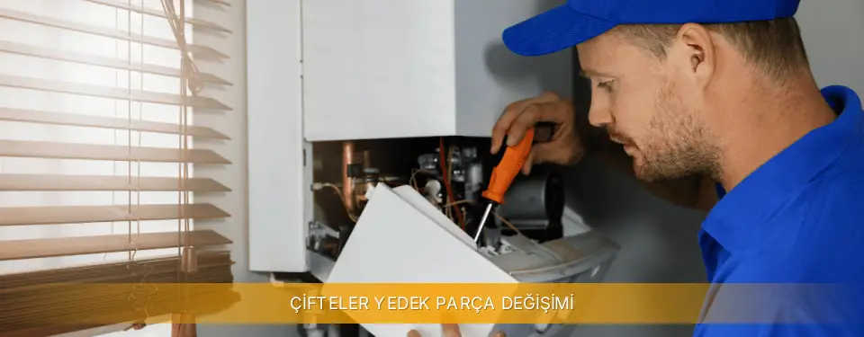 Çifteler İlçemi Viessmann Yedek Parça Değişimi